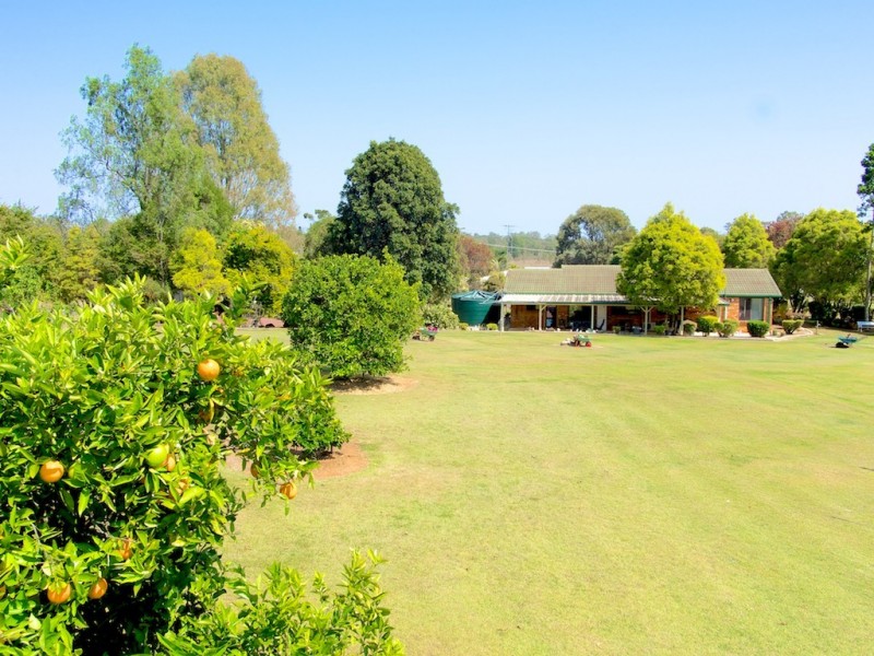 38 CARRALLUMA CRESCENT, Fernvale QLD 4306