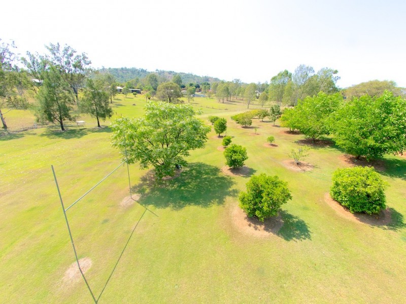 38 CARRALLUMA CRESCENT, Fernvale QLD 4306