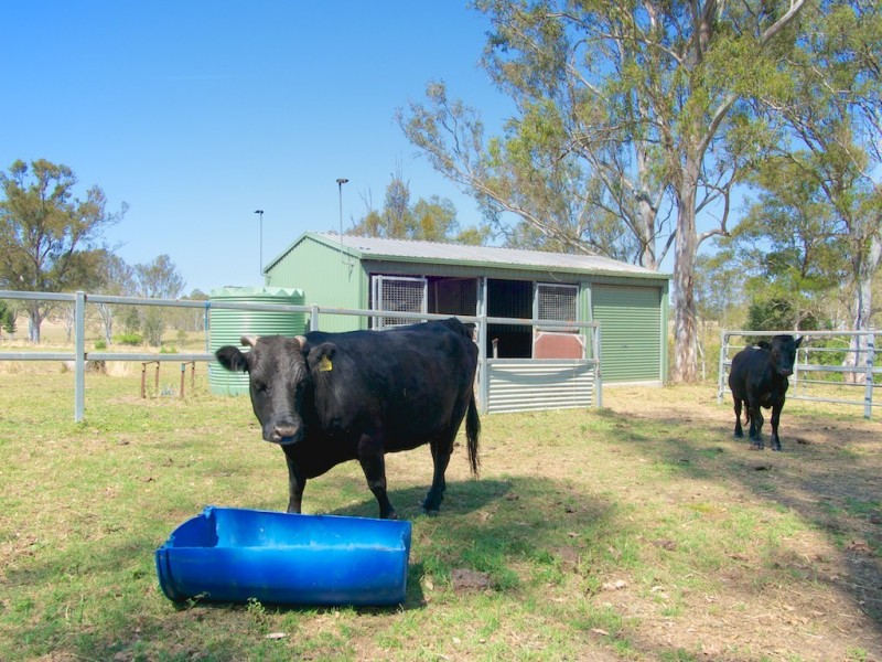 32 Suffield Dr, Yamanto QLD 4305