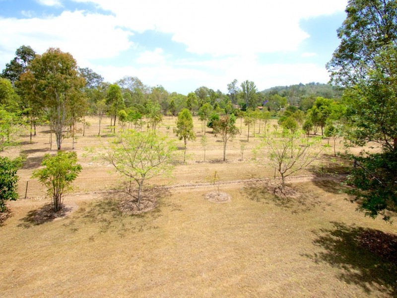 59 Carralluma Cres, Fernvale QLD 4306
