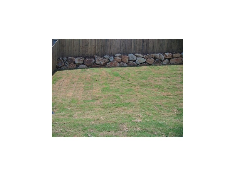 12 Kinkajou Street, Deebing Heights QLD 4306