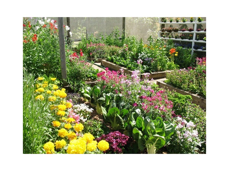 1199 Stanley Pocket Rd, Crossdale QLD 4312