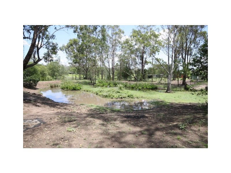 44 Clive Street, Fernvale QLD 4306