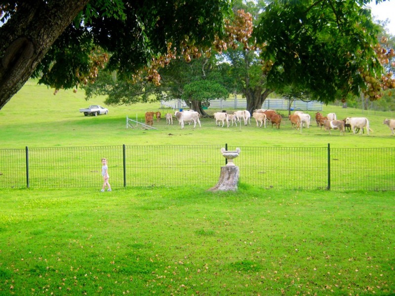 108 Lake Manchester Rd, Kholo QLD 4306