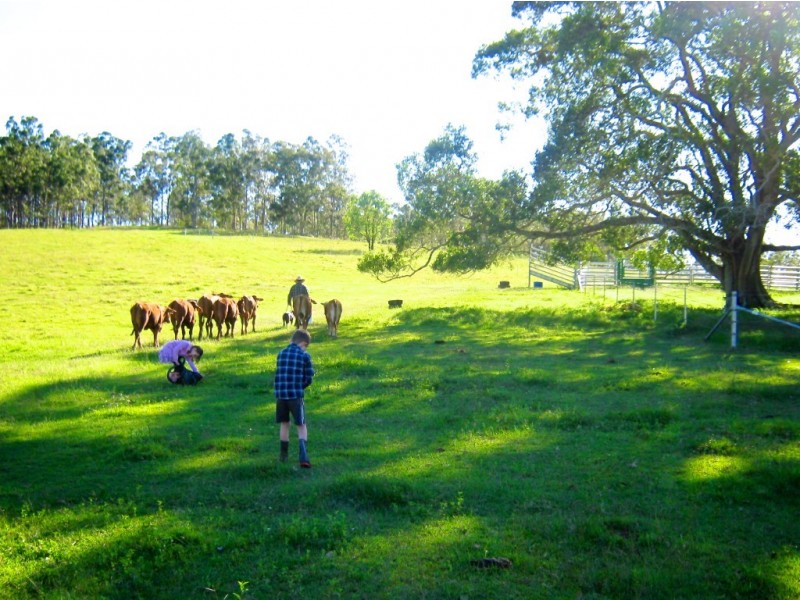 108 Lake Manchester Rd, Kholo QLD 4306
