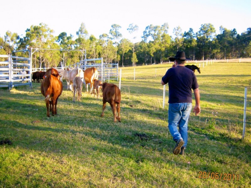 108 Lake Manchester Rd, Kholo QLD 4306