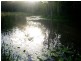 108 Lake Manchester Rd, Kholo QLD 4306