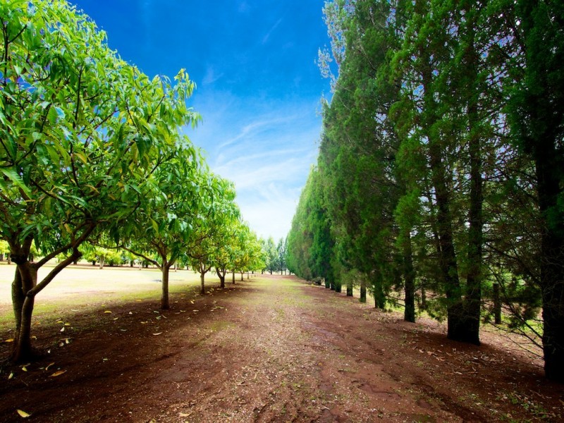 2 Ironbark Rd, Ironbark QLD 4306