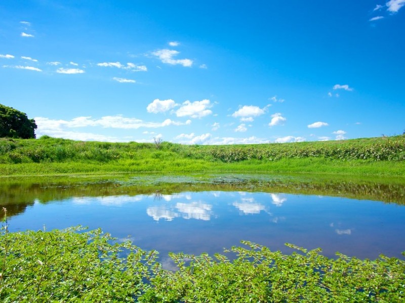 325-353 Tallegalla Two Tree Hill Road, Marburg QLD 4346