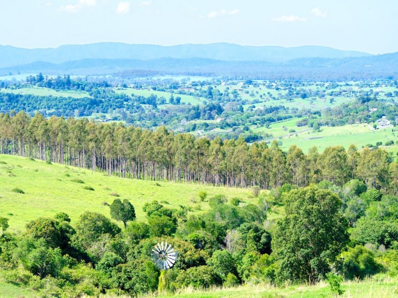 325-353 Tallegalla Two Tree Hill Road, Marburg QLD 4346
