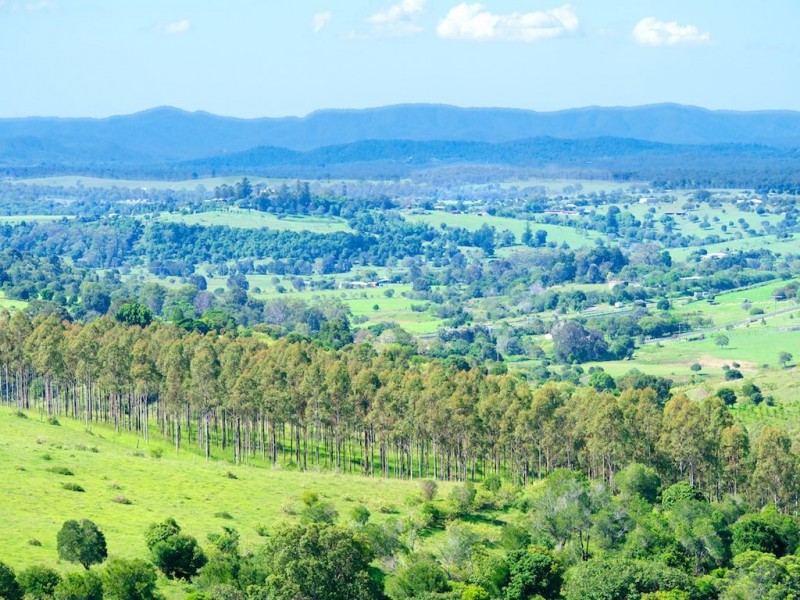 325-353 Tallegalla Two Tree Hill Road, Marburg QLD 4346