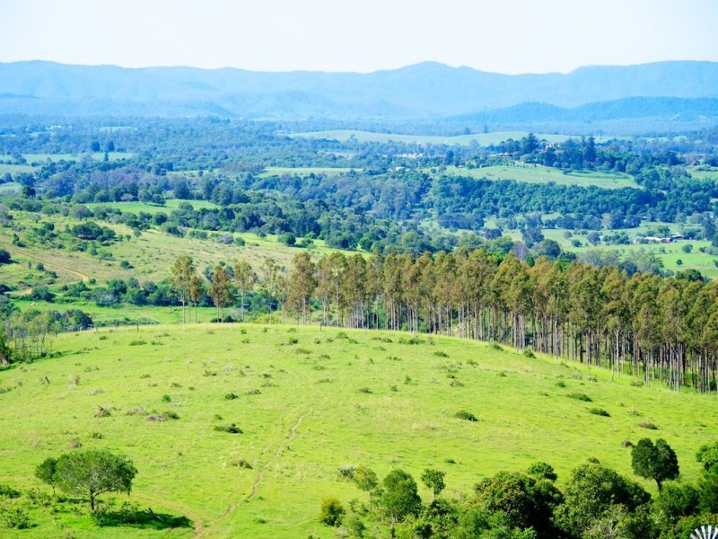 325-353 Tallegalla Two Tree Hill Road, Marburg QLD 4346