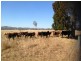 86 Boon Rd, Esk QLD 4312