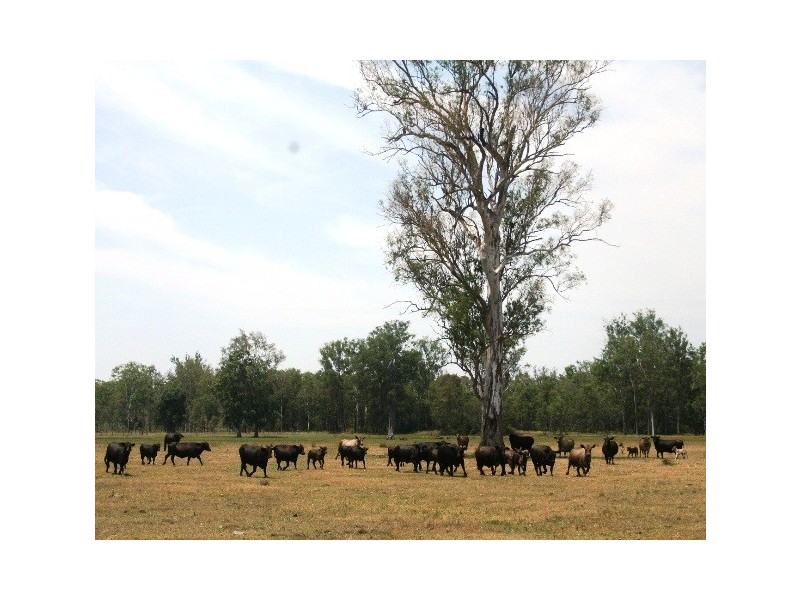 801 Rocky Gully Rd, Atkinsons Dam QLD 4311