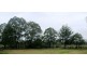 801 Rocky Gully Rd, Atkinsons Dam QLD 4311