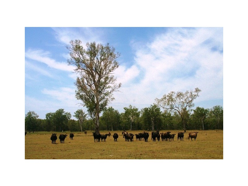 801 Rocky Gully Rd, Atkinsons Dam QLD 4311
