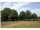 801 Rocky Gully Rd, Atkinsons Dam QLD 4311