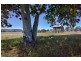 53 Jensens Swamp Rd, Tarampa QLD 4311
