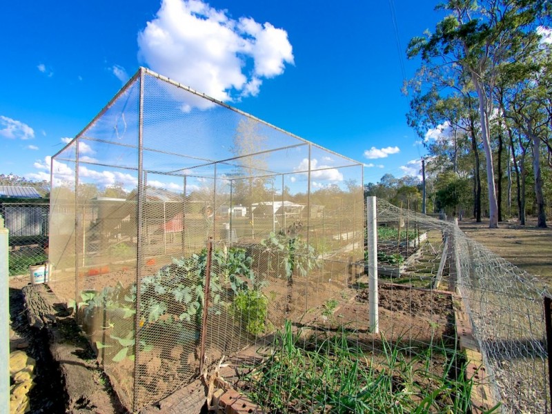 56 Ryans Rd, Coominya QLD 4311