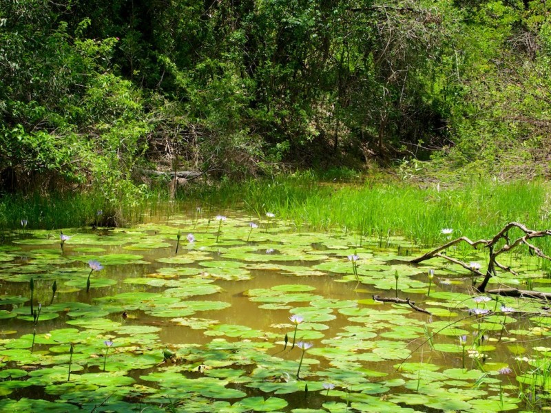 567 Stumers Road, Kholo QLD 4306