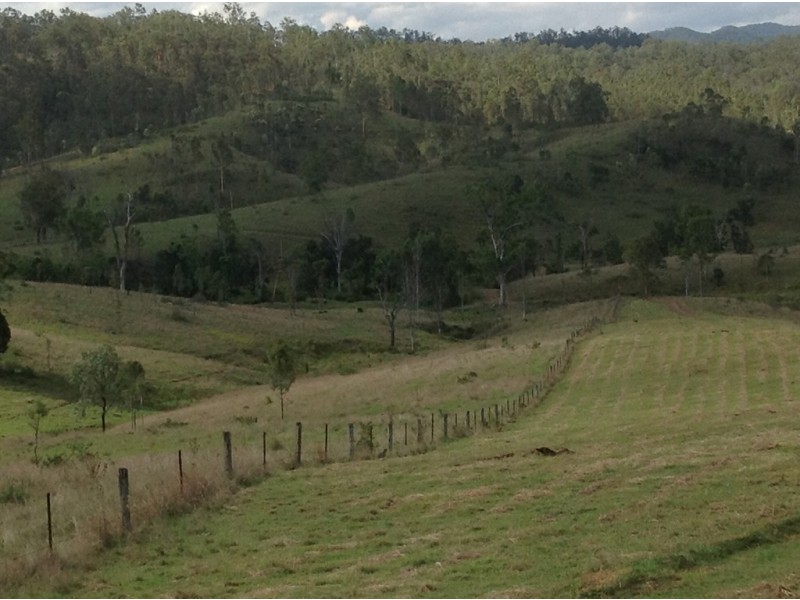 Lot 8 Banks Creek Road, Banks Creek QLD 4306