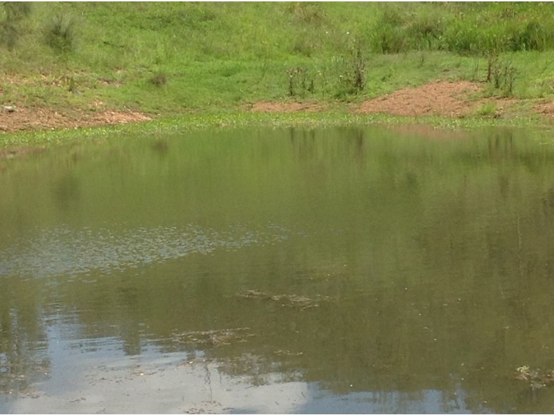 Lot 8 Banks Creek Road, Banks Creek QLD 4306