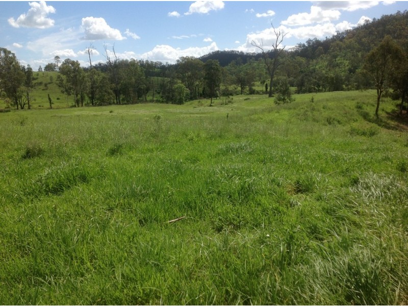 Lot 8 Banks Creek Road, Banks Creek QLD 4306