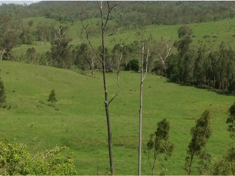Lot 8 Banks Creek Road, Banks Creek QLD 4306