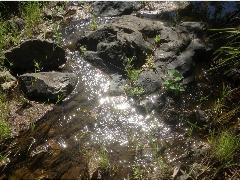 Lot 8 Banks Creek Road, Banks Creek QLD 4306