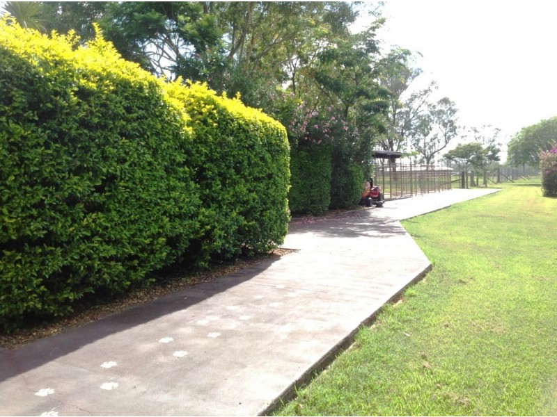 161 Watsons Road, Mount Tarampa QLD 4311