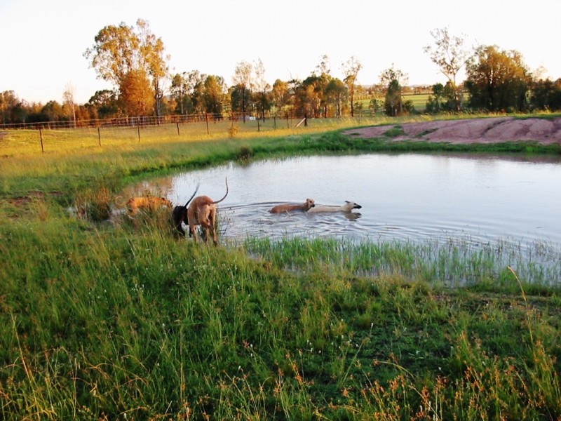 161 Watsons Road, Mount Tarampa QLD 4311