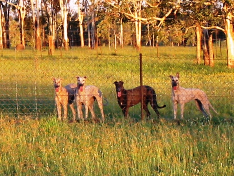 161 Watsons Road, Mount Tarampa QLD 4311