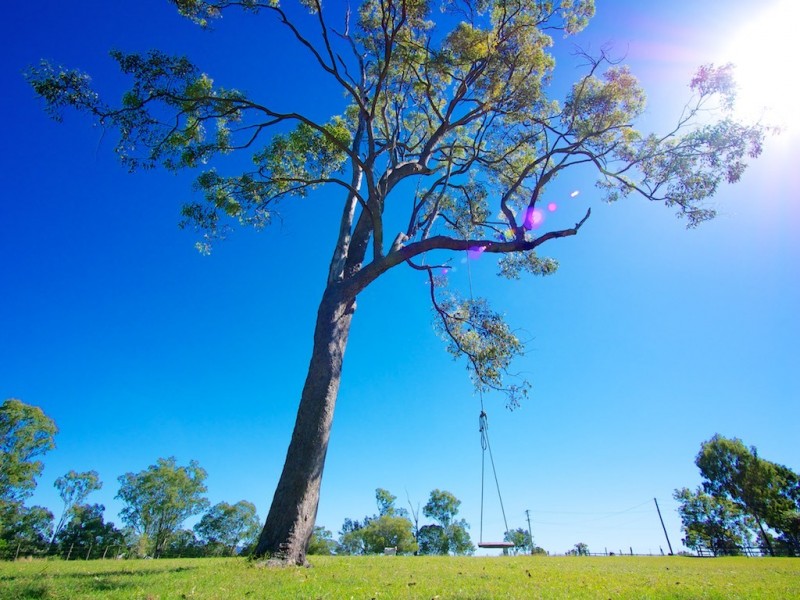 80 Hills Road, Borallon QLD 4306