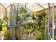 14 Vogler Rd, Fernvale QLD 4306