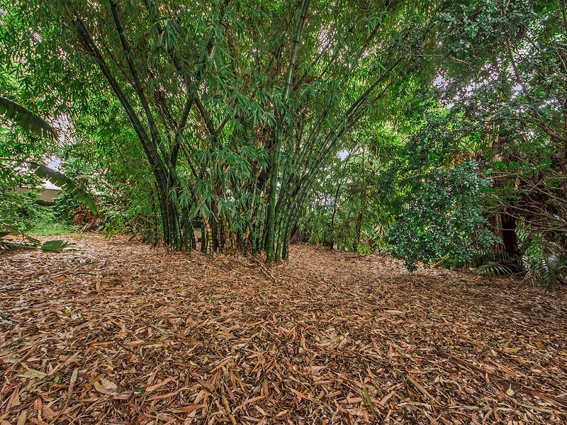 3 Coldham St, Redbank Plains QLD 4301