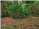 3 Coldham St, Redbank Plains QLD 4301