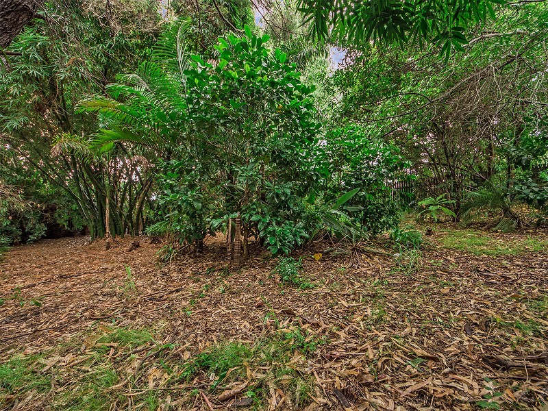 3 Coldham St, Redbank Plains QLD 4301