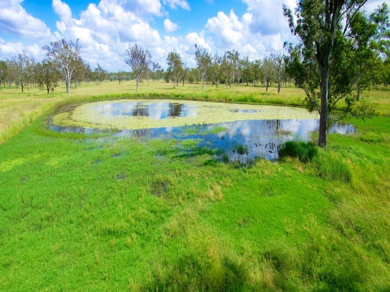 115 Stevens Road, Purga QLD 4306