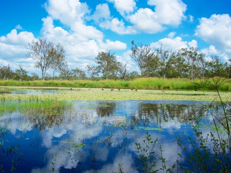 115 Stevens Road, Purga QLD 4306