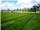 115 Stevens Road, Purga QLD 4306