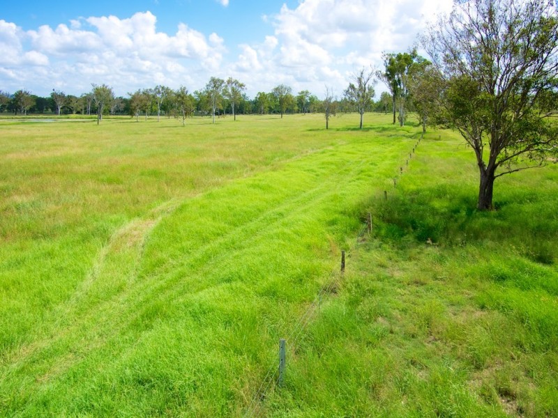 115 Stevens Road, Purga QLD 4306