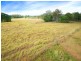 300 PINE MOUNTAIN ROAD, Muirlea QLD 4306