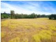 300 PINE MOUNTAIN ROAD, Muirlea QLD 4306