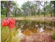300 PINE MOUNTAIN ROAD, Muirlea QLD 4306