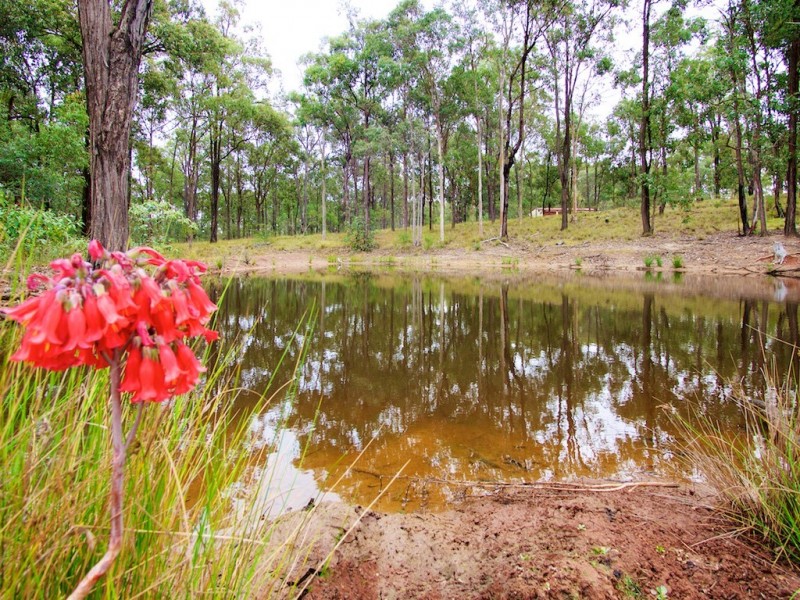 300 PINE MOUNTAIN ROAD, Muirlea QLD 4306