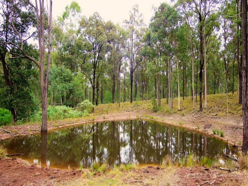 300 PINE MOUNTAIN ROAD, Muirlea QLD 4306