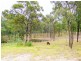 300 PINE MOUNTAIN ROAD, Muirlea QLD 4306