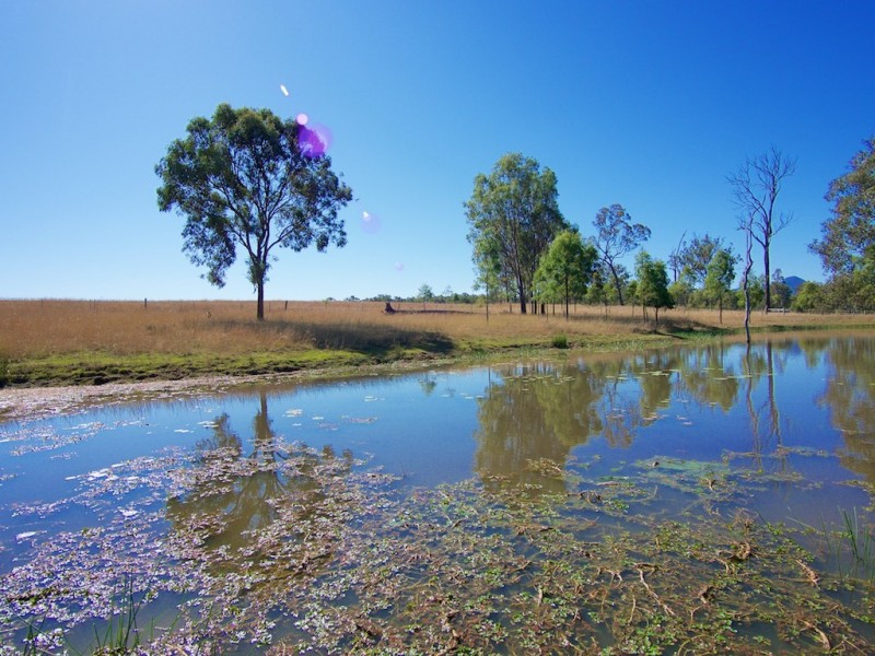 509 Limestone Ridges Rd, Limestone Ridges QLD 4305