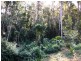 535 SIM JUE CREEK ROAD, Dundas QLD 4306