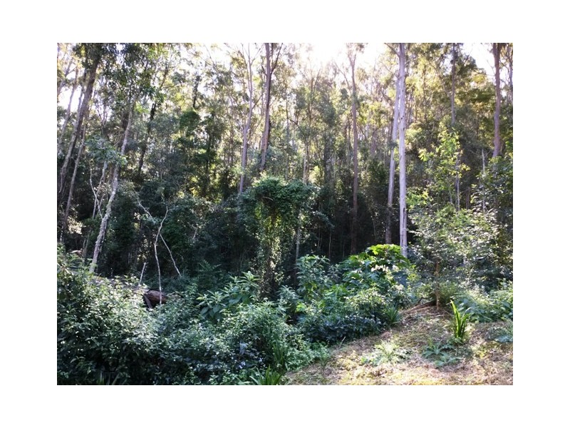 535 SIM JUE CREEK ROAD, Dundas QLD 4306
